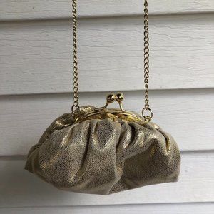 NEVER USED Chico's Crossbody Gold Fancy Clutch